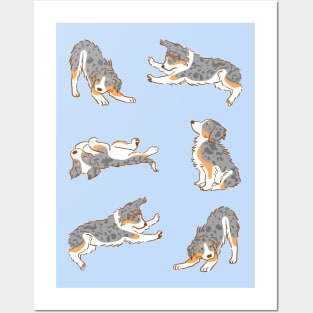 Australian Shepherd Posters and Art